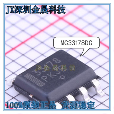真导全新原装正品放大器
