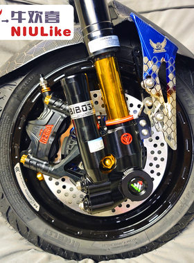 比博士GS5PRO前轮套装 瑞祖玛制动 车魔人三星 天使轮胎 高端配置