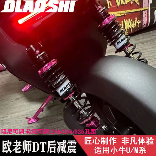 欧老师dt阻尼可调减震改装