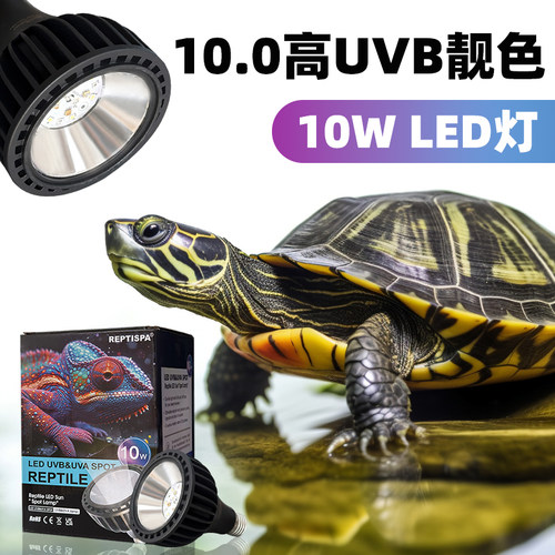 补钙蜥蜴乌龟全光谱防水晒背灯
