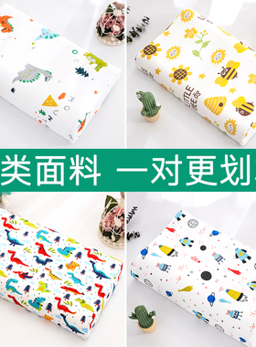 纯棉儿童乳胶枕套44x27婴儿30x50男孩60x40x35大人记忆枕头套一对