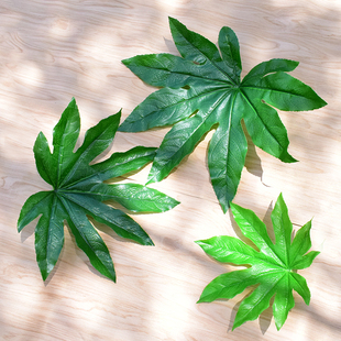 单片仿真八角金盘叶婚庆装饰花叶绿色植物墙水果垫片塑料假树叶子