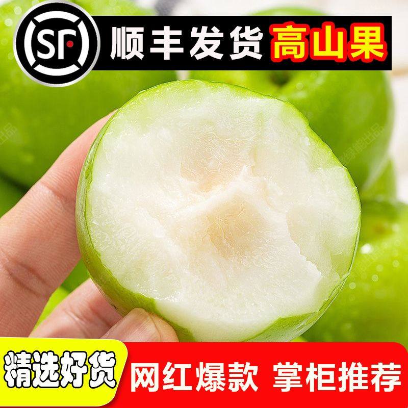 大青枣当季现摘脆枣贵妃冬枣脆甜蜜牛奶枣果脆甜大果冬季水果年货,水产肉类/新鲜蔬果/熟食,枣,淘宝优惠券,粉丝福利购,淘宝优惠卷