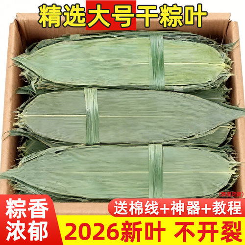 干粽叶大号粽子叶包粽子专用端午