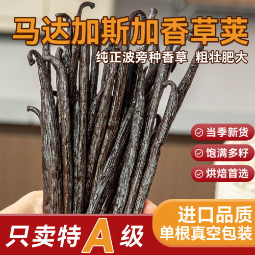 马达加斯加香草荚精膏籽酱烘焙专用夹食用进口条天然豆冰淇淋蛋糕