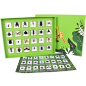 儿童科普教学认知益智玩具昆虫海洋动物植物生长实物包埋树脂标本