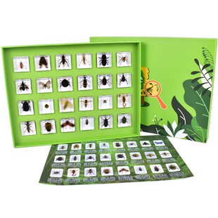 儿童科普教学认知益智玩具昆虫海洋动物植物生长实物包埋树脂标本