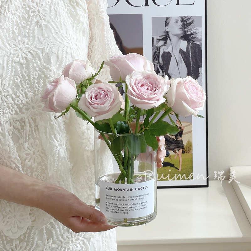 RUIMENins风简约花瓶客厅插花
