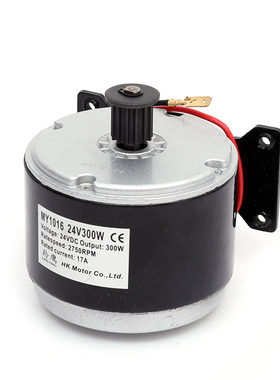 羚鹰小海豚电动车24v300w