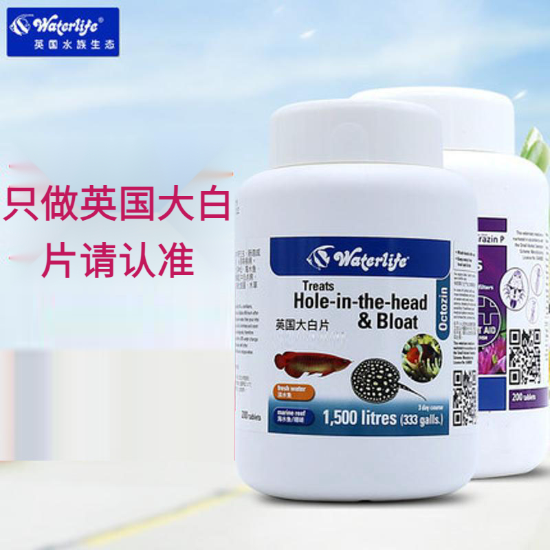 Waterlife英国正品大白片金龙鱼兰寿热带鱼锦鲤鱼内寄外寄调理杀