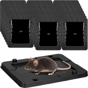 塑料捕鼠器外贸粘鼠板强力胶粘大老鼠贴除老鼠陷阱mouse trap rat