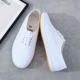 男女款 白布鞋 帆布鞋 白球鞋 小白鞋 护士工作鞋 学生体操鞋 晨练武术鞋