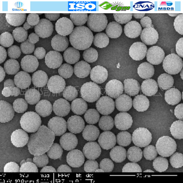 HILIC 色谱填料  100A 40-60um 50g