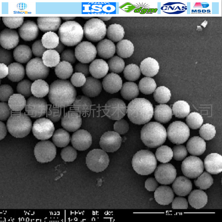 高效液相色谱柱填料球型C8 100A 5um  50g 工业油品/胶粘/化学/实验室用品 其他吸附剂 原图主图