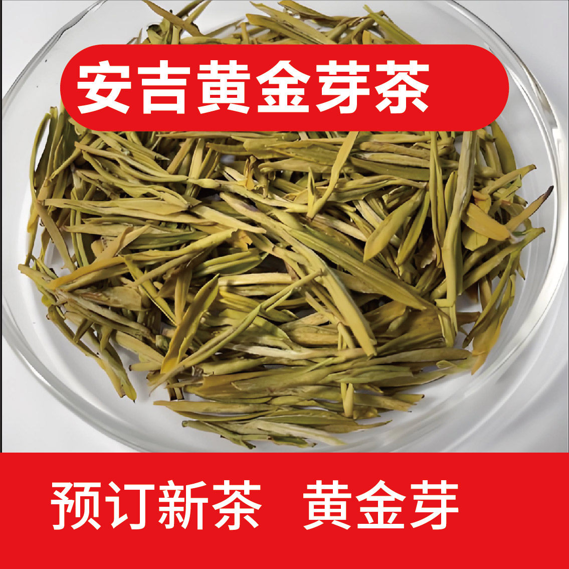 2025 黄金芽 安吉黄茶 黄金芽 实物拍摄 500克 安吉发货