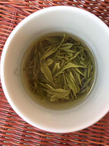 原产地安吉白茶明前500g春茶