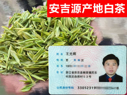 口粮茶安吉白茶雨前特级正宗