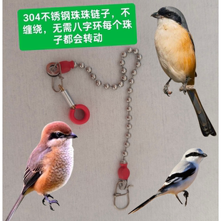 新款伯劳鸟脚套鹦鹉脚环鹩哥八哥鸟脚环鹦鹉脚环护腿不伤脚鸟链子