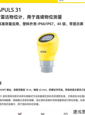 议价VEGAPULS31雷达液位计VEGAPULS 31