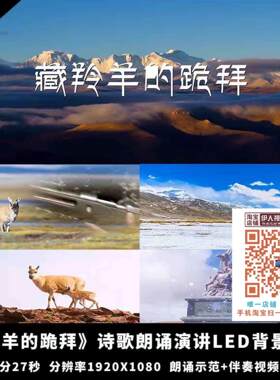 《藏羚羊的跪拜》节选诗歌朗诵演讲配乐舞台演出LED大屏背景视频