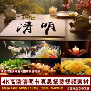 YR136-清明节哀思祭奠扫墓祭祖视频素材清明节视频素材