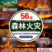 森林火灾视频视频素材森林火灾山火森林防火草木燃烧实拍视频素材
