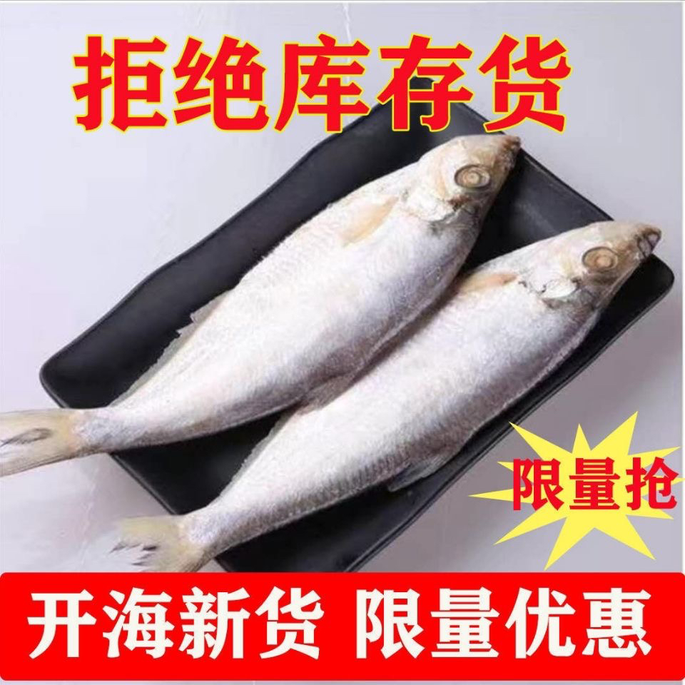 白鳞鱼咸鱼1000g咸鱼干咸香鱼清蒸鱼海鱼白磷鱼5成干 水产肉类/新鲜蔬果/熟食 鱼干 原图主图