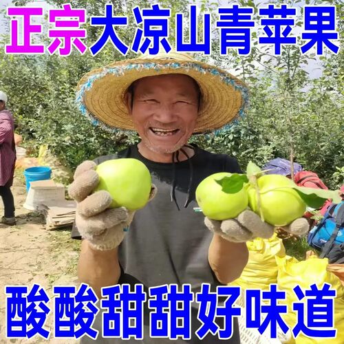 青苹果大凉山金帅青苹果酸甜脆爽