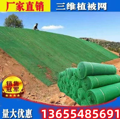 三维植被网护坡固土三维网园林绿化 土工塑料网椰丝毯垫植草加筋
