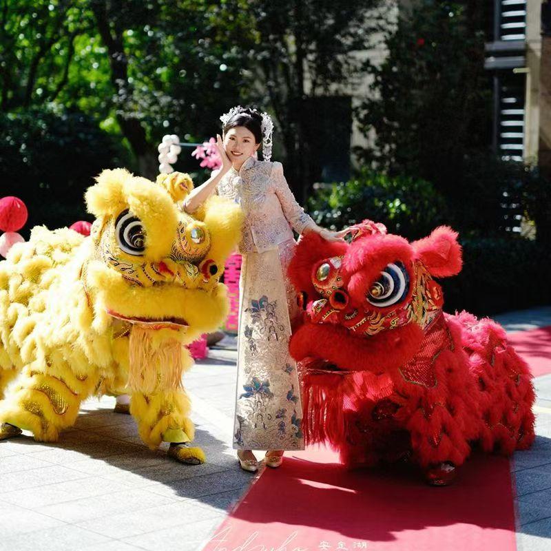 舞狮道具全套南狮醒狮舞龙舞狮