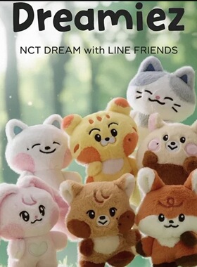 NCT Dreamiez's 毛绒挂件钥匙扣小型玩偶娃娃平面抱枕随机小卡套