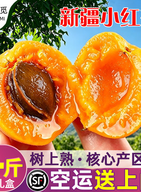 【现货新疆直发】阿克苏小红杏新鲜水果吊干杏鲜果甜过小白杏空运