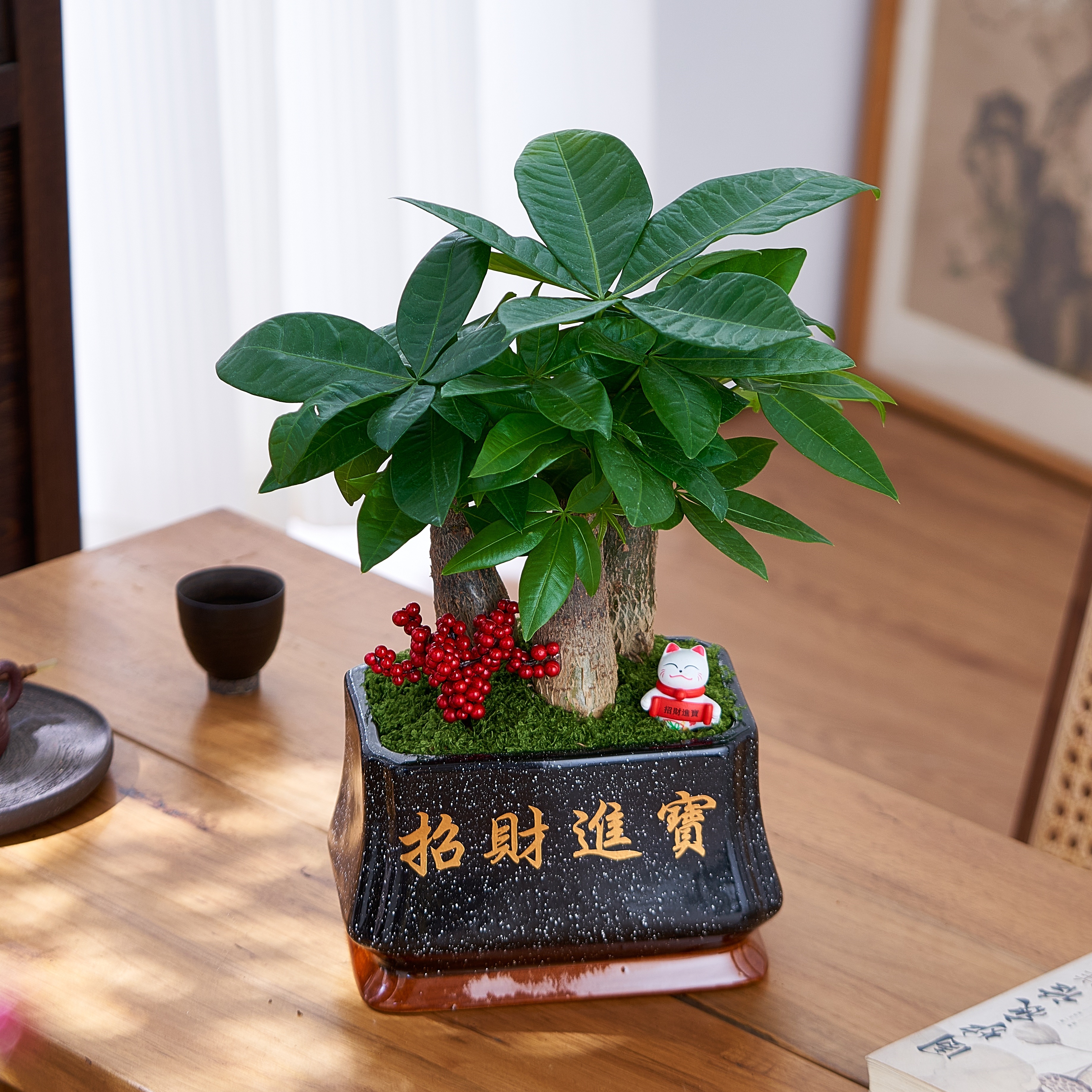 发财树盆栽室内植物大棵绿植