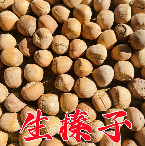 大兴安岭饱满不开口香脆包邮坚果