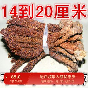 散装大兴安岭中草不老草山苞米草苁蓉列当泡酒料14-20厘米250克