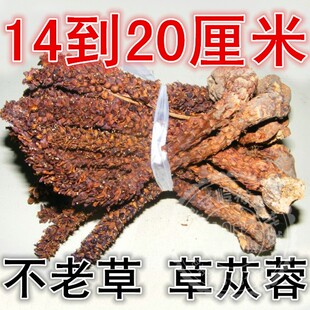 散装大兴安岭中草不老草山苞米草苁蓉列当泡酒料14-20厘米250克