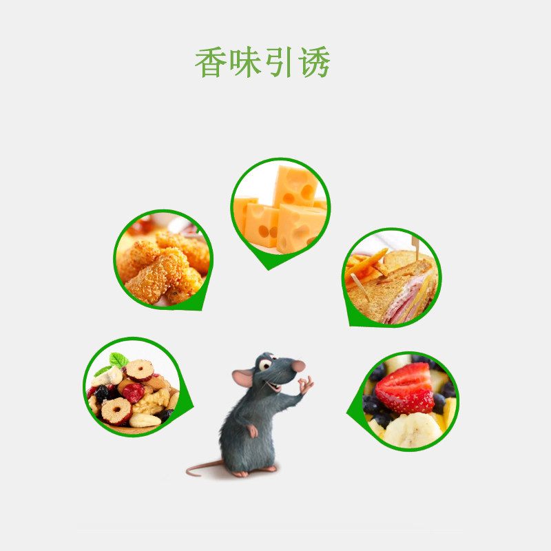 10 PIECES OF MOUNTED RAT BOARD PATRIOT RAT STICKER STICKY RAT BOARD RAT STICKER HOUSEHOLD RAT TRAP BOARD RAT TRAP RAT CLIP