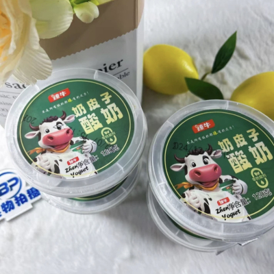 内蒙古臻牛奶皮子酸奶120g/杯