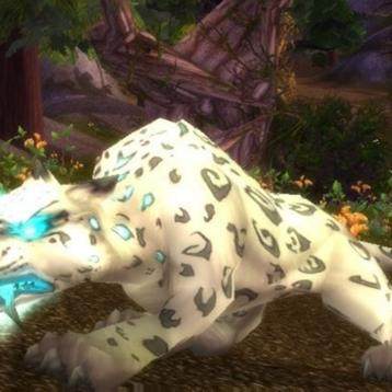 魔兽世界正式服灵魂兽代抓 猎人宝宝 大脚 电狼 火乌龟 猫头鹰