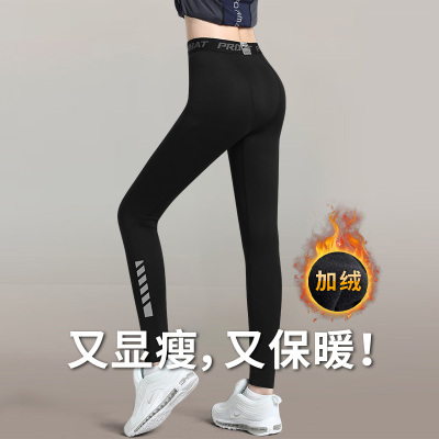 秋裤女保暖速干运动裤新款大码
