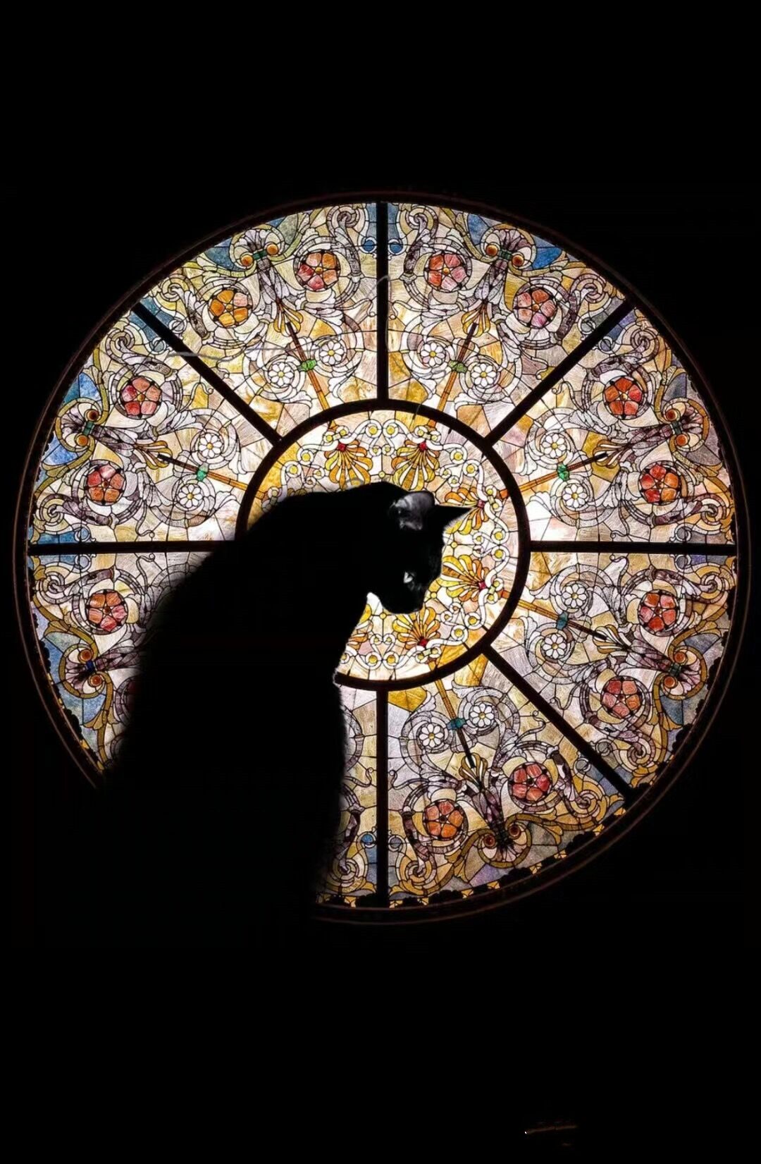 火爆小红书的教堂猫拼图来啦