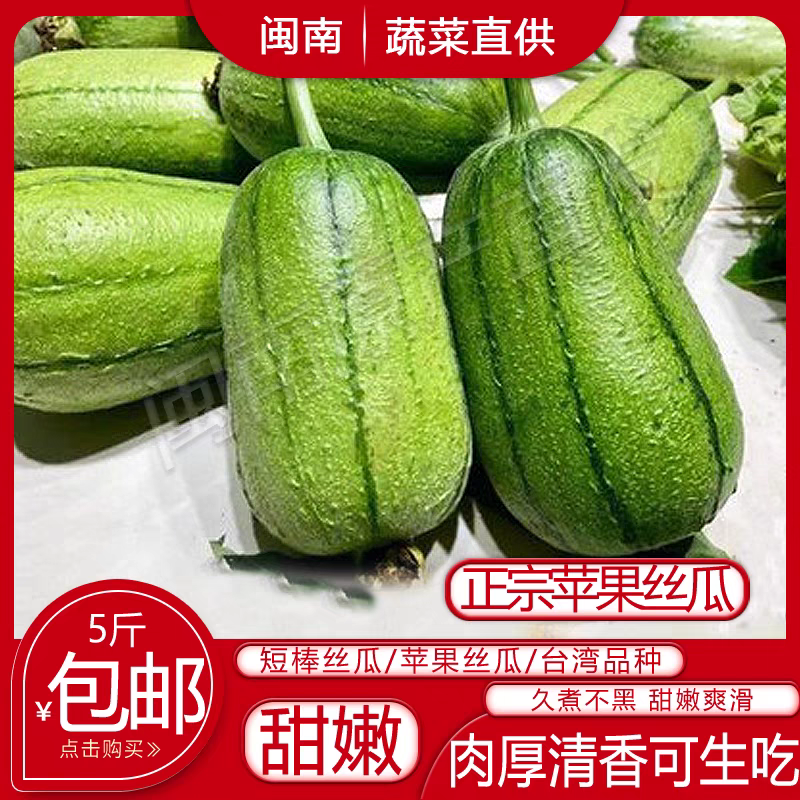 苹果丝瓜新鲜可生吃水果丝瓜蔬菜台湾肉丝瓜酒店食材1/3/5斤