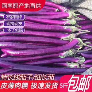 线茄子新鲜 特长线茄子杭茄福建农家现摘绿色蔬菜紫茄子茄瓜1-5斤