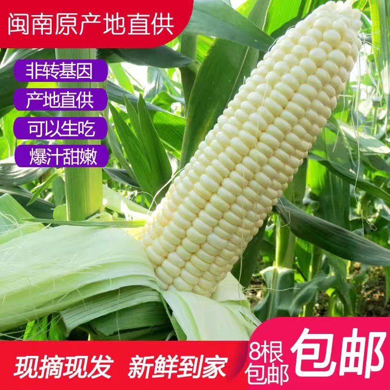 顺丰福建漳州新鲜水果牛奶玉米