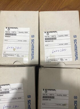 SRB504ST-24V施迈赛SCHMERSAL门监控安全继 议价