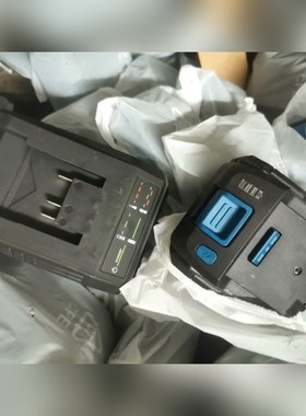 SCHEPPACH电池图片是实物有几百个有充电器没有 议价