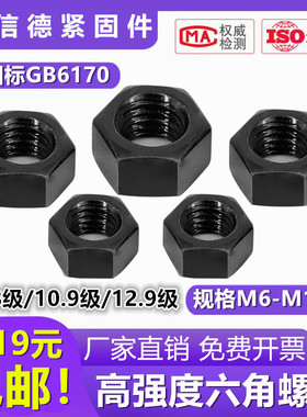 国标GB6710高强度8.8级螺丝帽10.9级外六角螺丝母12.9级m16m20m24