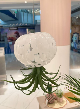 日本francfranc家居装饰玻璃挂件仿真植物装饰