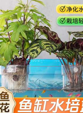 鱼缸水培植物固定架定植篮壁挂式家用水草种植杯鱼缸造景装饰花盆