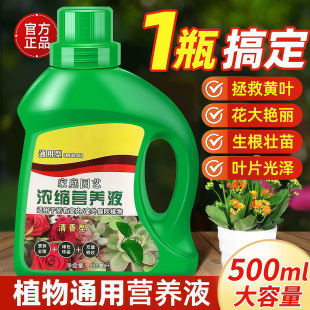 植物营养液通用型家用养花卉绿萝水培绿植多肉盆栽发财树液体肥料